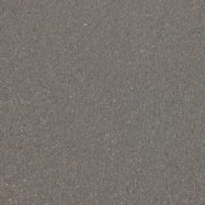 preloaded image